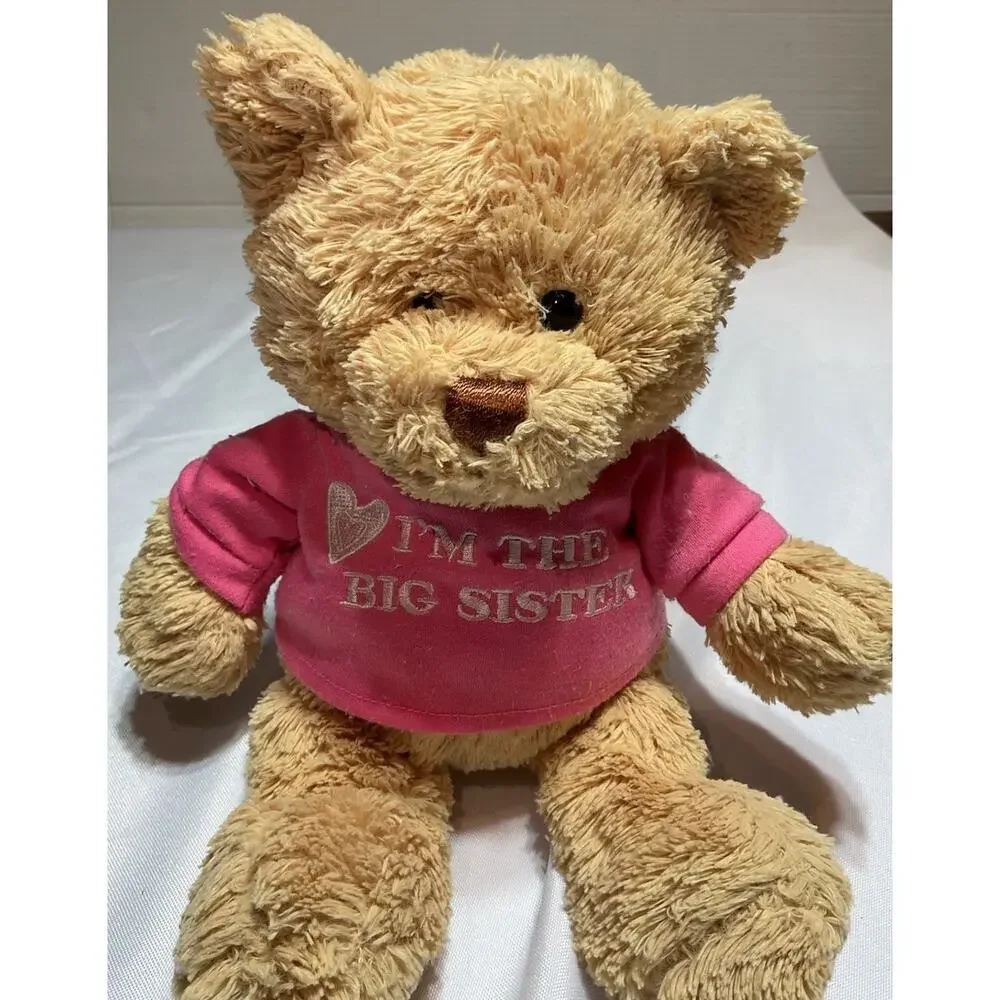 GUND Brown Bear I’m The Big Sister Teddy Bear Pink Shirt Stuffed Animal Toy_2